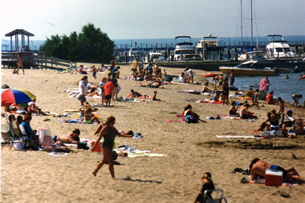 Beach Fun
