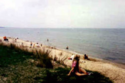 Oak Beach